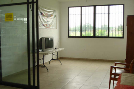 imagen3
