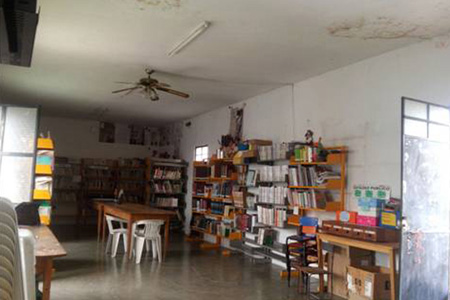 imagen1