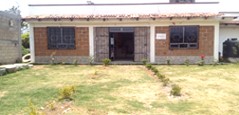 imagen3