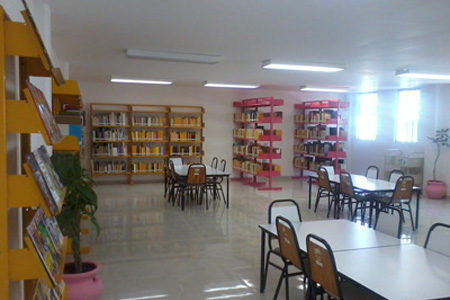 imagen3