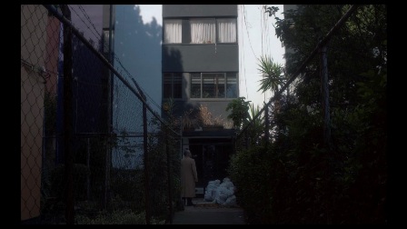 imagen1