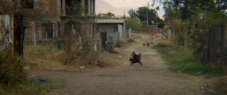 imagen3