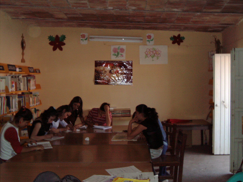imagen1