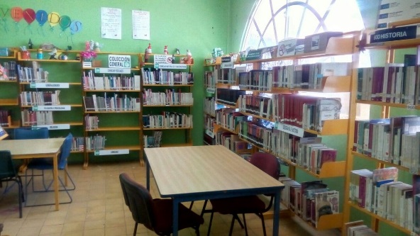 imagen1