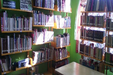 imagen3
