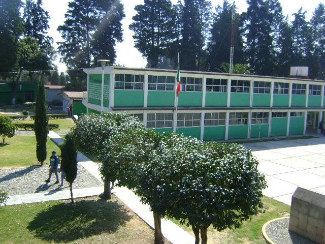 imagen1
