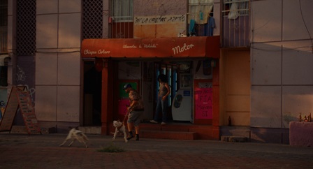 imagen0