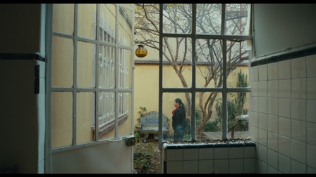 imagen3