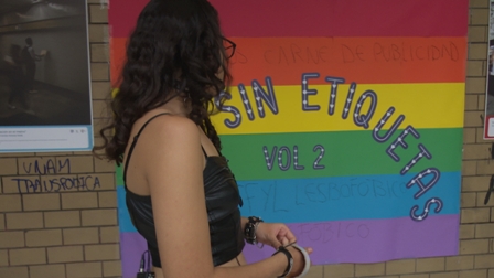 imagen1