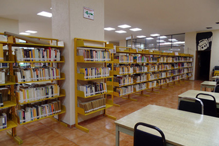 imagen2