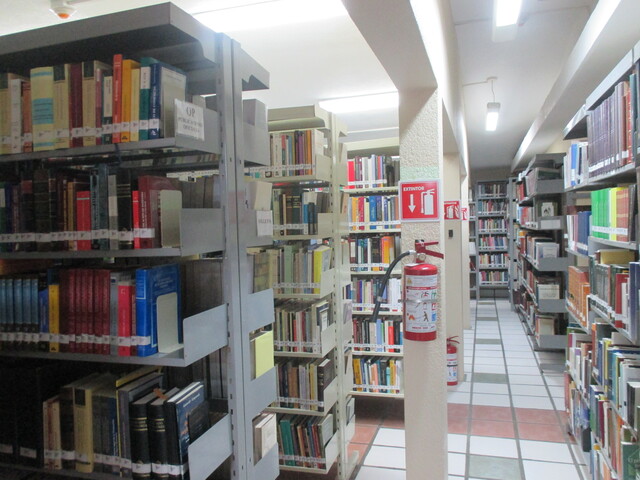 imagen2