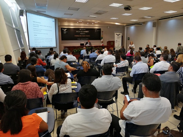 imagen1