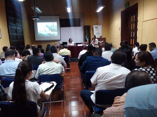 imagen2