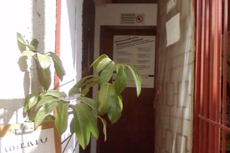 imagen3