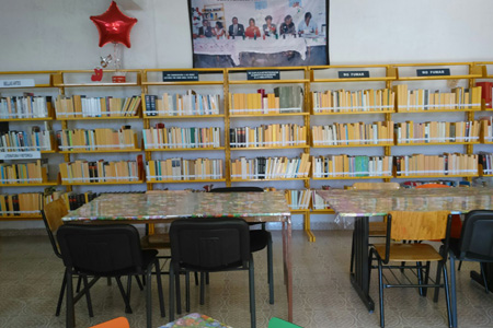 imagen1