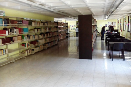 imagen1