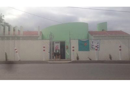 imagen3