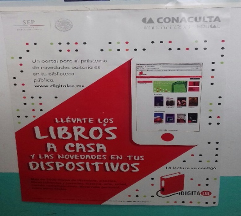 imagen2