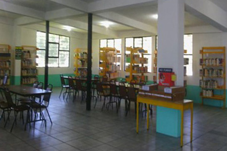 imagen2