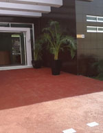 imagen2