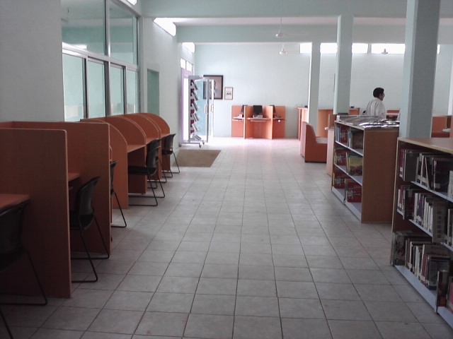 imagen3