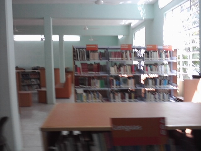 imagen2