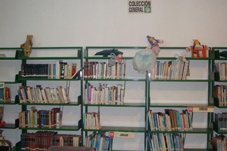 imagen1