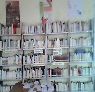 imagen1
