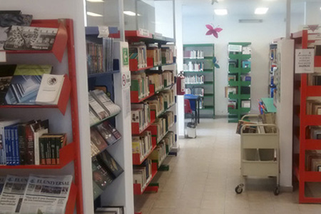 imagen2