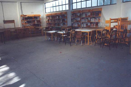 imagen1
