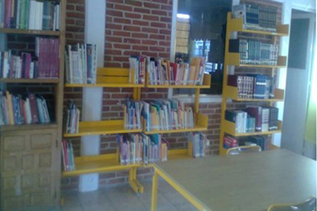 imagen3