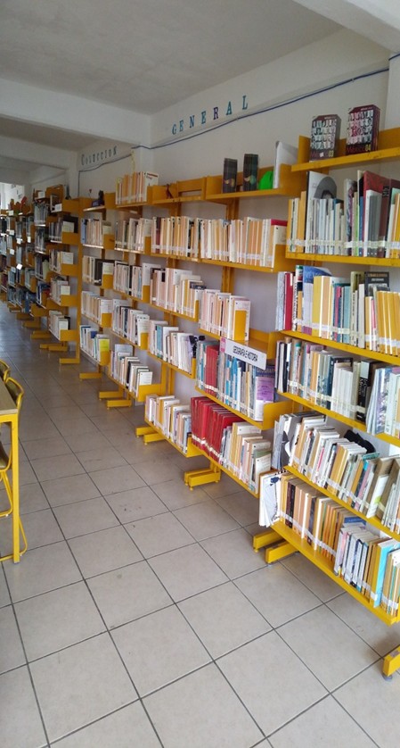 imagen1
