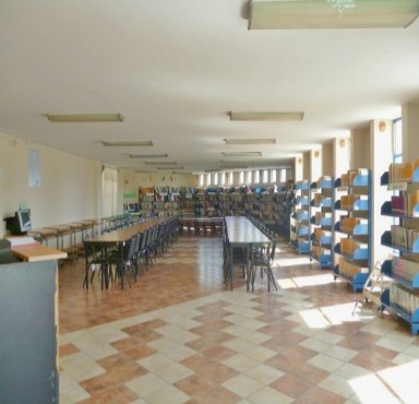 imagen1