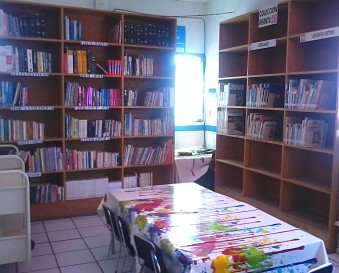 imagen1