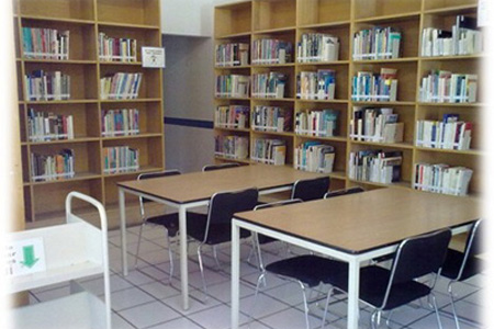 imagen3