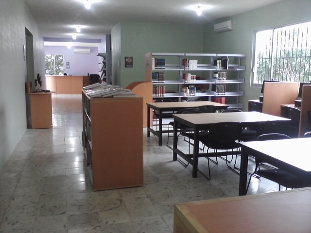 imagen3
