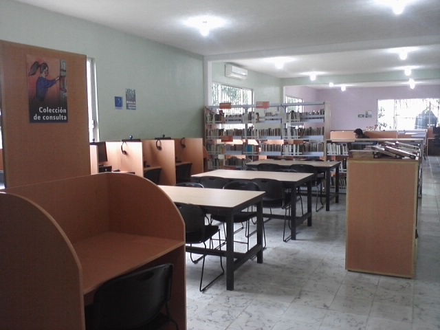 imagen3