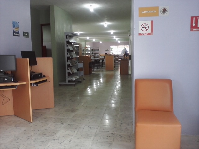 imagen1
