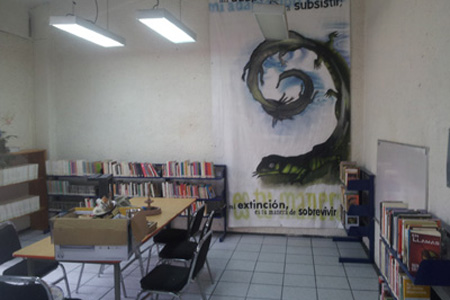 imagen2