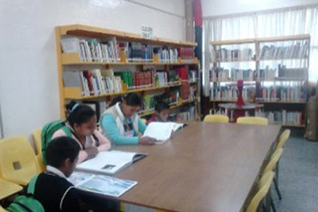 imagen2