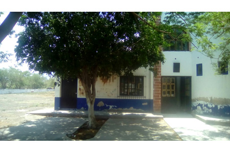imagen3