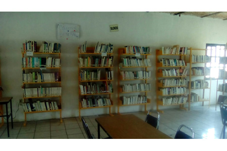 imagen1