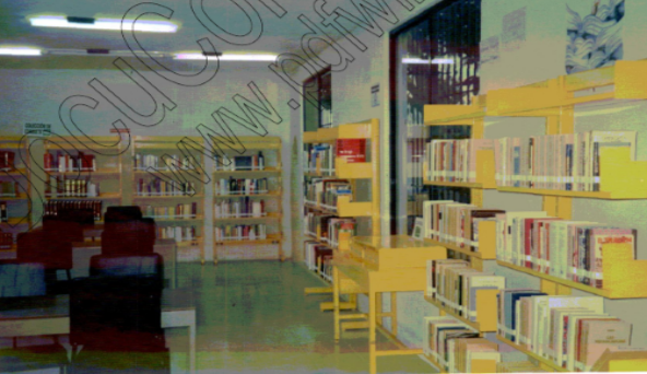 imagen1