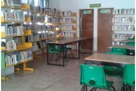 imagen1