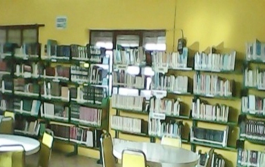 imagen1