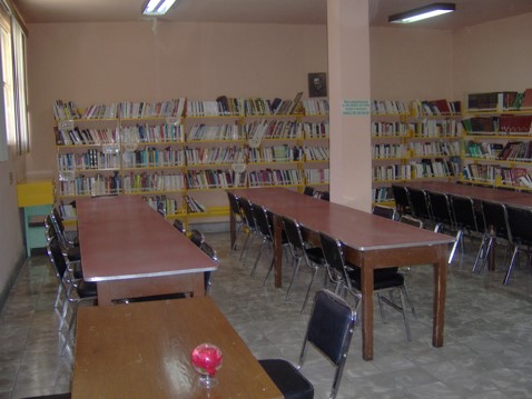 imagen1