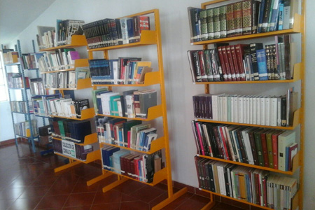 imagen3