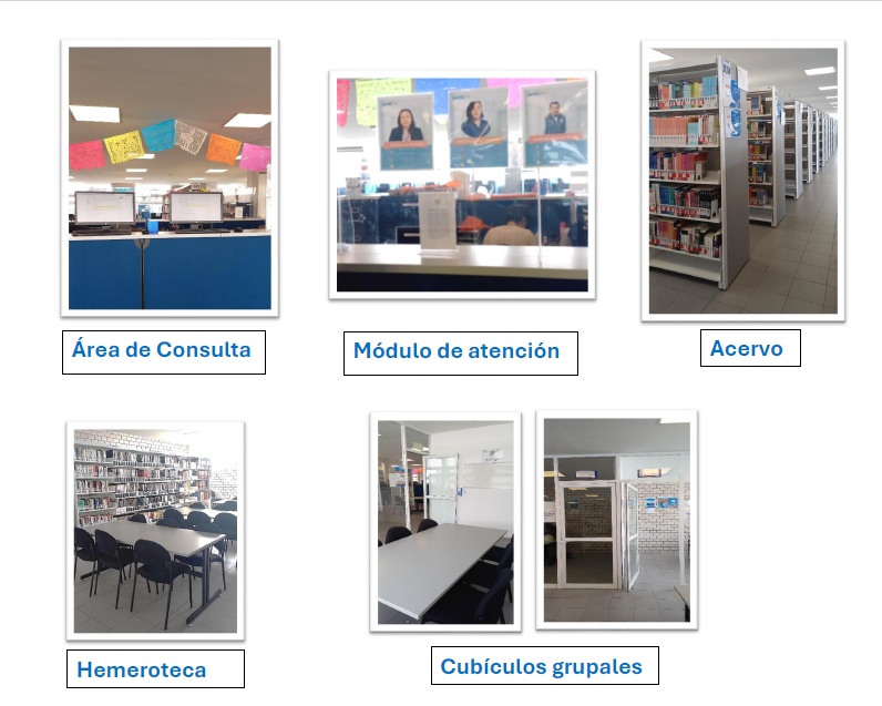 imagen2