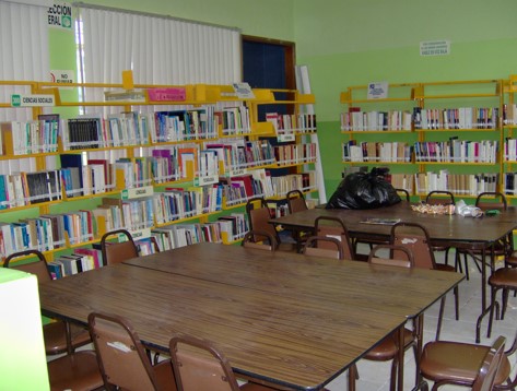 imagen3