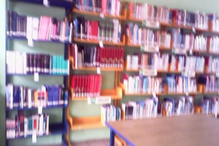 imagen2